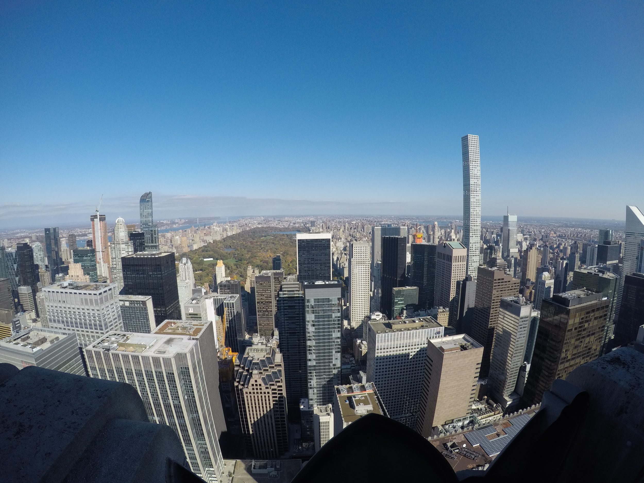 centralni park new york