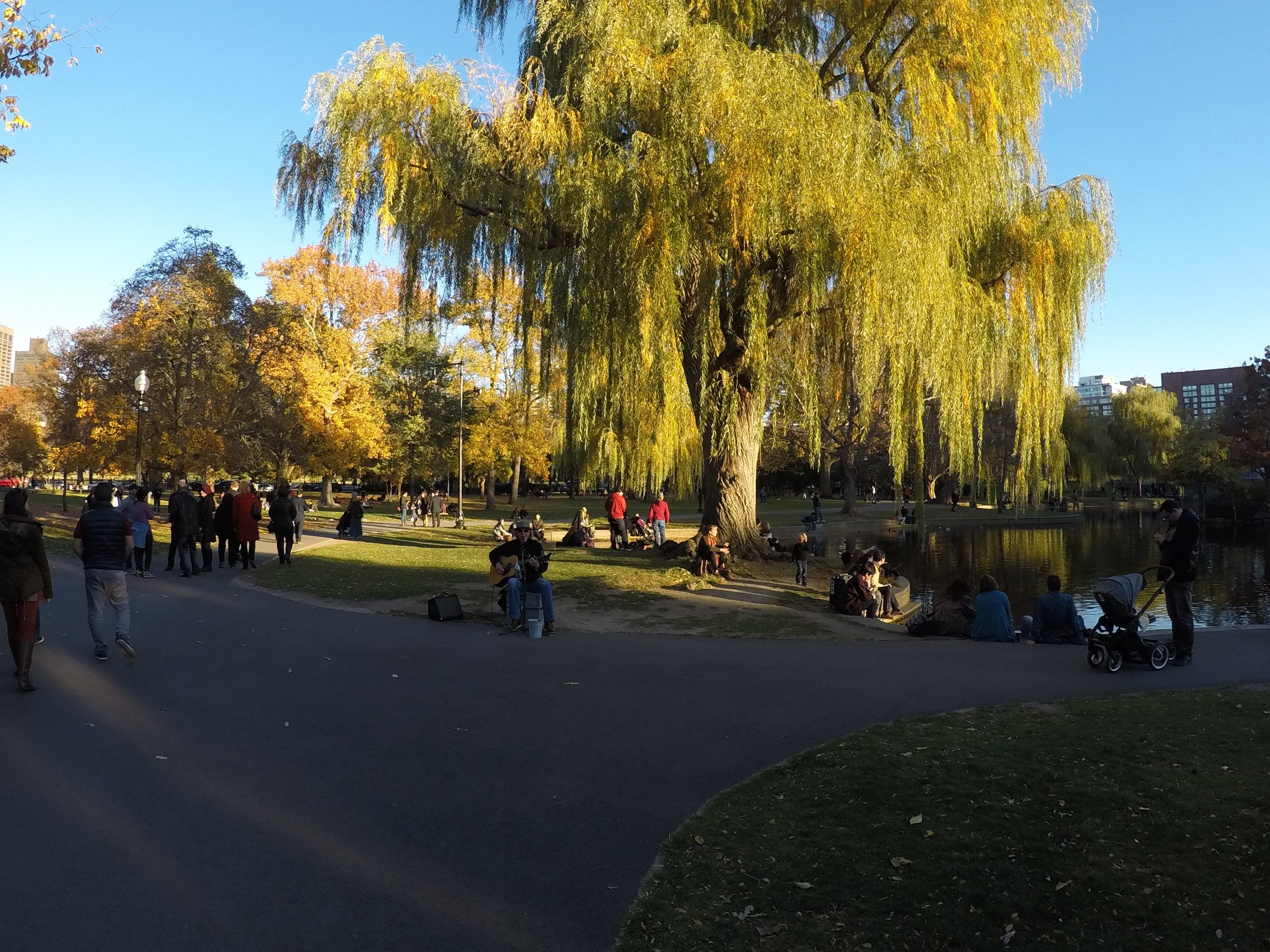 Mestni park - Boston