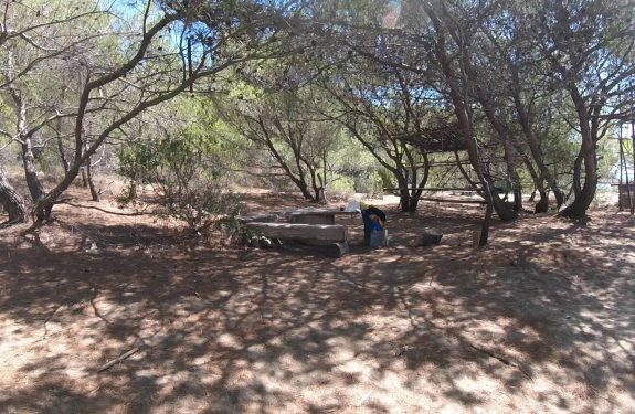 Sence na tej plaži ne primanjkuje