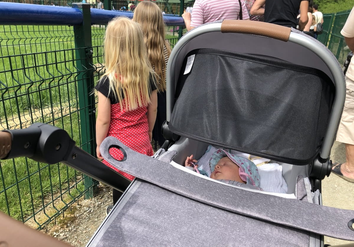 živalski vrt SikaloZOO