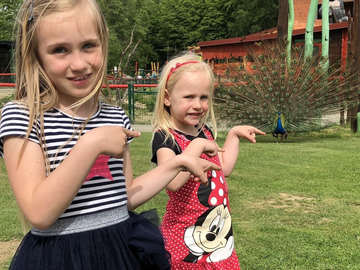 živalski vrt SikaloZOO