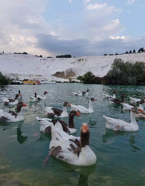 potovanje po Turčiji s počitniško prikolico - Turčija