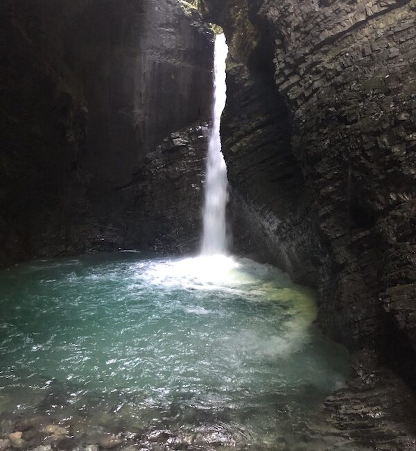 Posočje - slak Kozjak