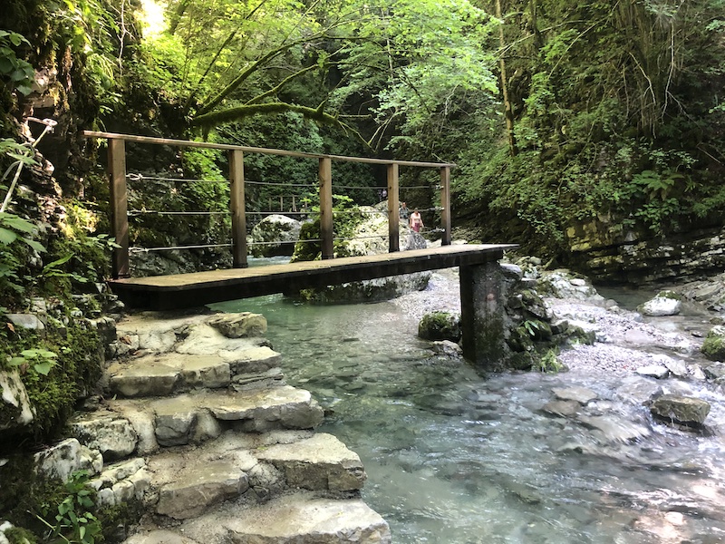 Posočje - slak Kozjak