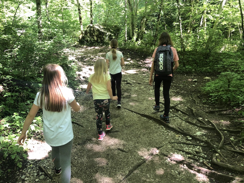 Posočje - slak Kozjak