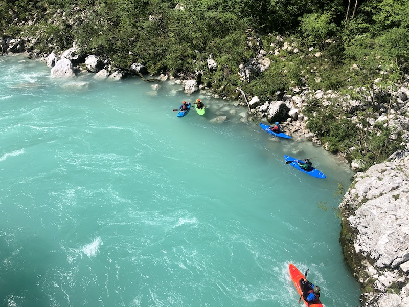 Posočje - slak Kozjak