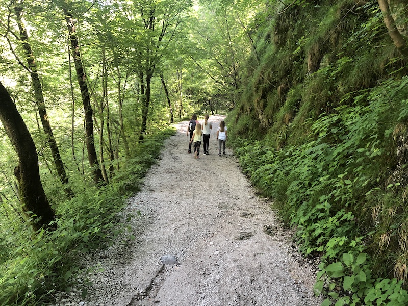 Posočje - slak Kozjak