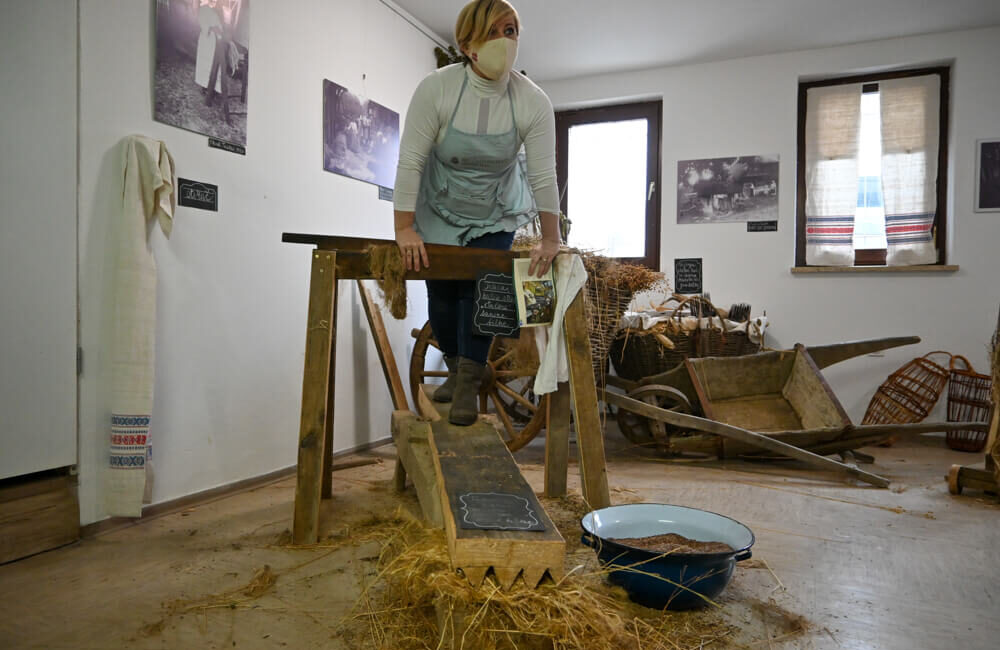 črnomelj bela krajina