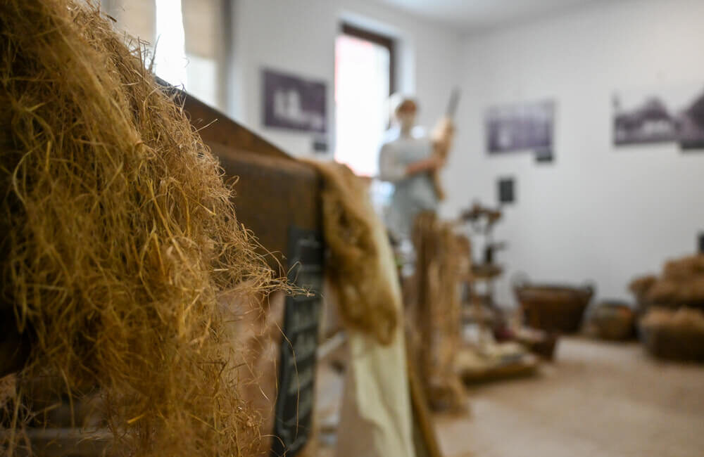 črnomelj bela krajina